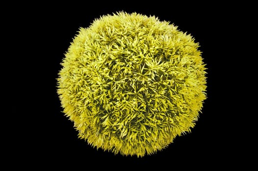 Big yellow grass ball isolated on black