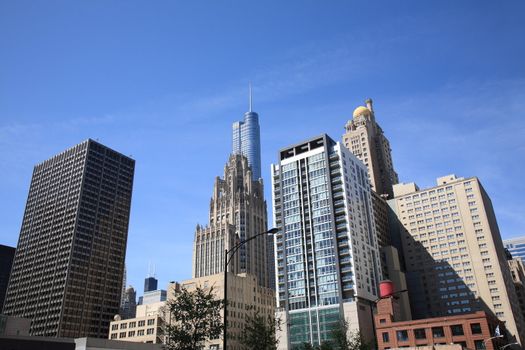 Chicago buildings rise into a blue sky