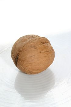 close up of a walnut on white background