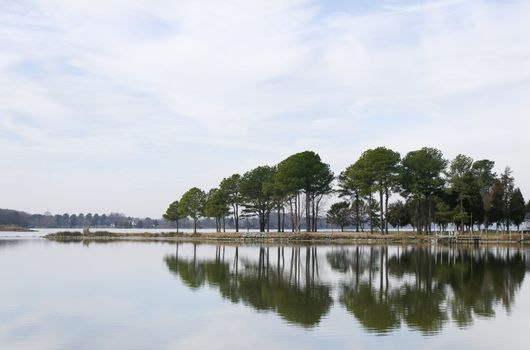 Trees reflecting in the water at a bay.