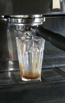 Double latte being extracted from a professional espresso machine.