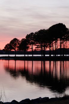 Trees reflecting in the water at sunset.