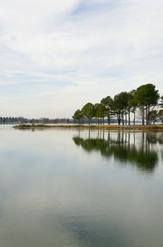 A row of trees reflecting in the water.