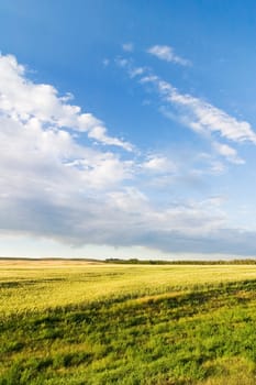 Prairie Lanscape with a vivid sky