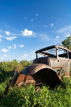 An old car sitting on the prairie forgotten and overgrown with bushes.