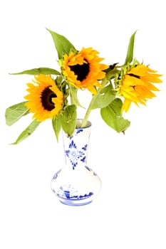 Three sunflowers in a vase