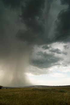 Rain clouds on the horizon over a Saskatchewan landscape.