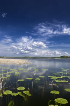 Lake view with water lilies. Mazury, Poland. aRGB.