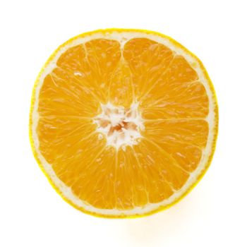 Detail of an orange sliced in half.