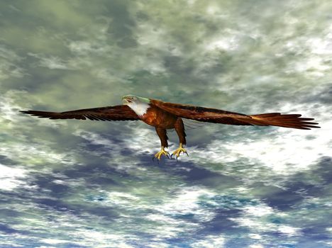 Illustration of a flying eagle