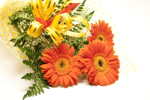 Bouquet of gerbera flowers isolated on white