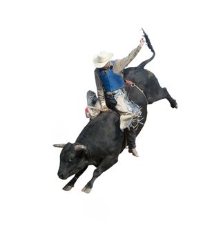 Bull Riding at the Herbert Rodeo, Saskatchewan, Canada