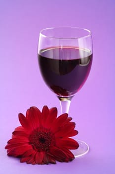 glass of red wine and gerbera flower