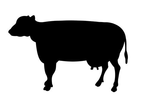 Silhouette illustration of a cow