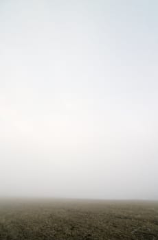 Prairie fog landscape