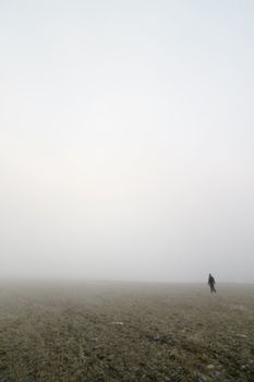 Walking in prairie fog in a meadow