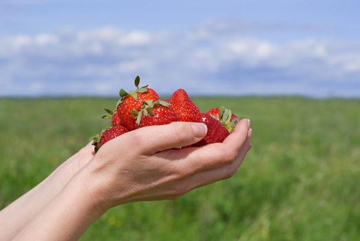 Handful of a strawberry against a meadow and the sky.
