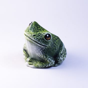 A frog is on the white background