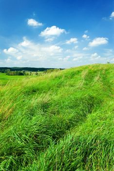 Saturated summer landscape - green grass on the top of the hill. Mazury, Poland.