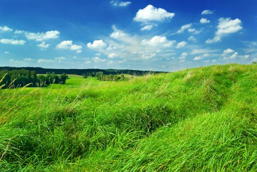 Saturated summer landscape - green grass on the top of the hill. Mazury, Poland.