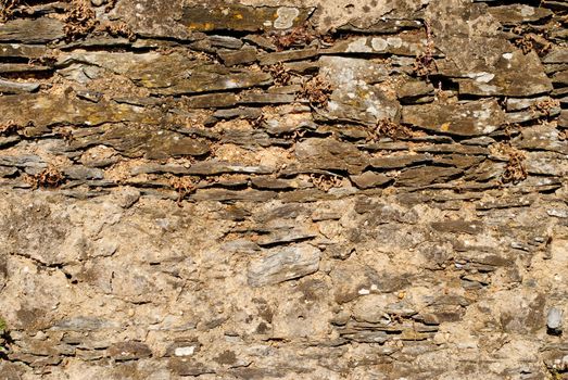 Old wall texture details shot with natural light.