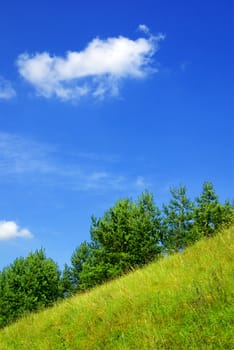 Summer landscape - saturated view of the slope.