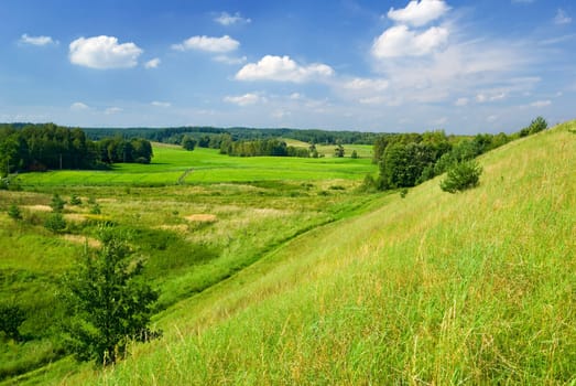 Saturated summer landscape - view of the slope.