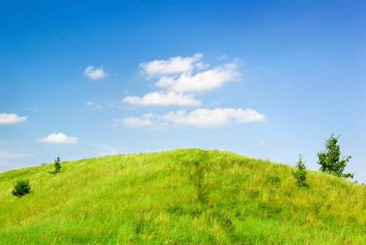 Summer landscape - green grass on the top of the hill.