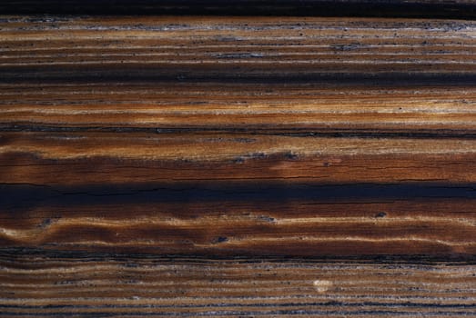 Background - old wood with knots.