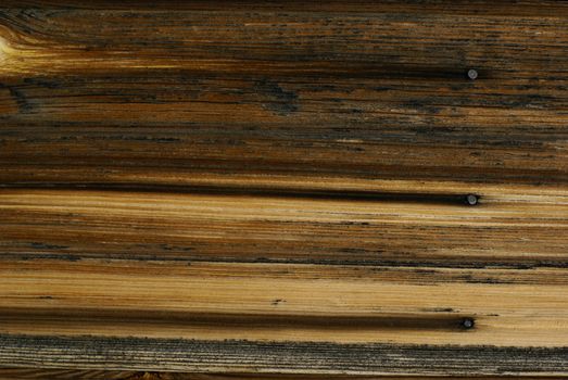 Old wood background with rusty nails.