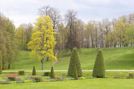 green park in spring