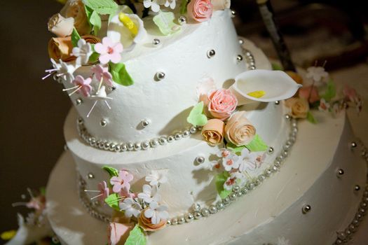 cake of bride and groom