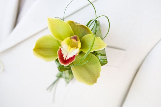 Buttonhole on the suit of the groom