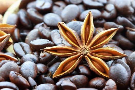 Macro of Anise Star against dark roasted coffee beans. Shallow DOF with selective focus on Anise.