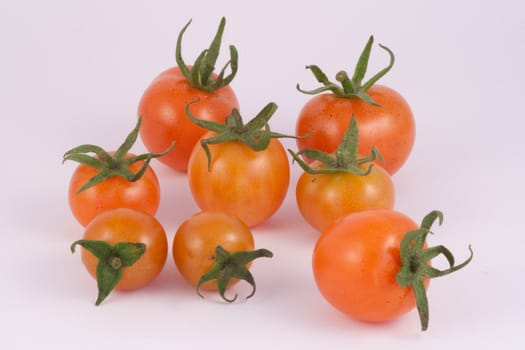 Freshly picked tomatoes on white.