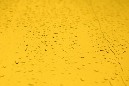 A Beer Yellow water drops  background with an area in focus