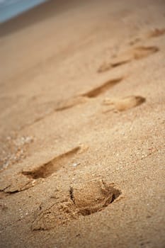 Someone walked in the sand and left footsteps