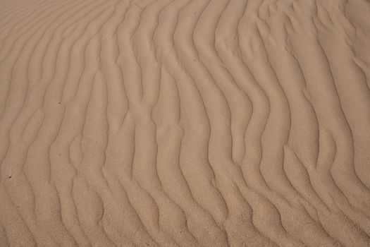 Ripple and line textures of sand.