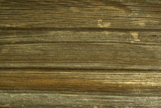 Background - old wood detail. 