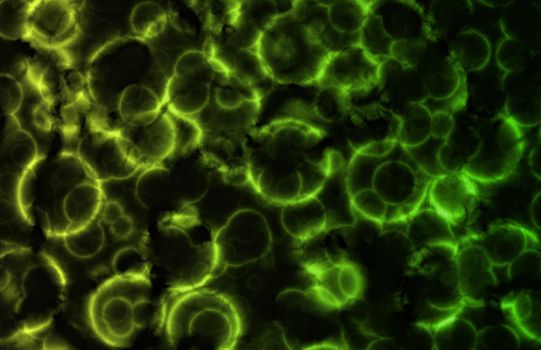 Microscopic Cell Organisms as an Abstract Art