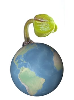 A sprout of a flower growing on the high part of a world globe