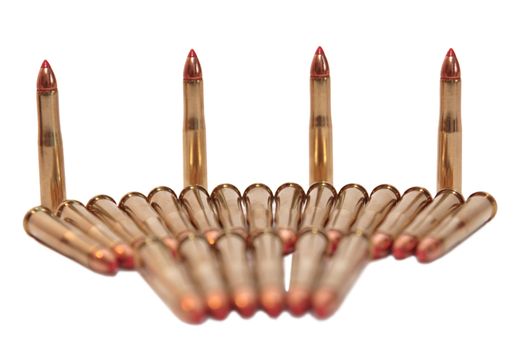 ammunition all in a row on a white background