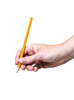 Hand holding a pencil isolated on white background