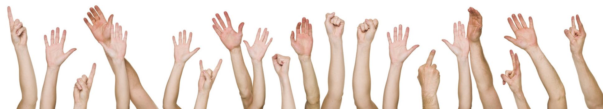 Lots of raised hands isolated on white background