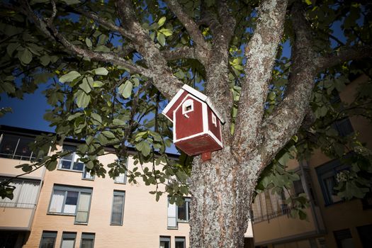 Birdhouse in the Neighborhod