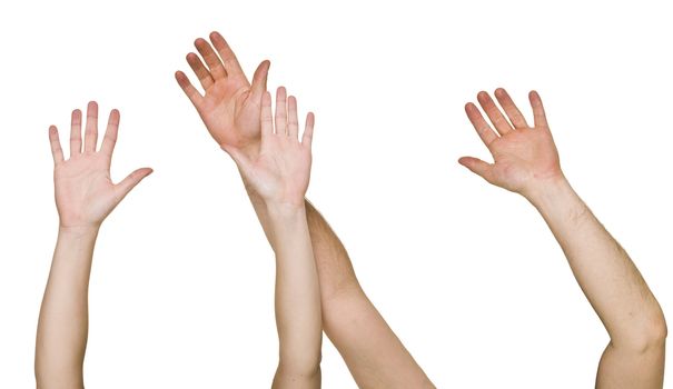 Raised Hands isolated on white Background