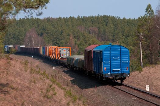 Freight train passing the forest
