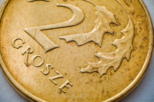 Macro close-up of polish zloty coin
