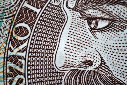 Macro close-up of polish zloty banknote
