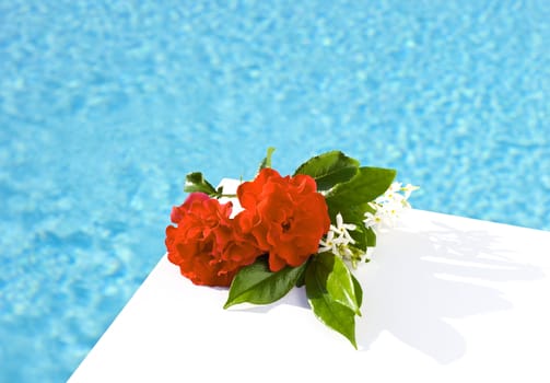 Red roses placed on board a private pool.